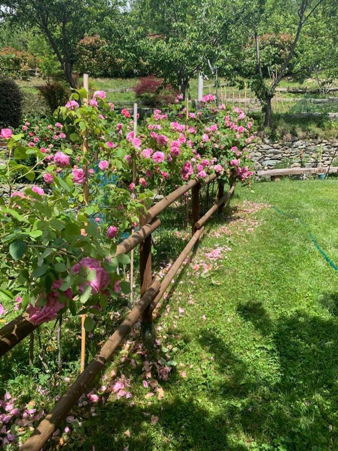 Casa Dei Tigli Villa Ormea Bagian luar foto